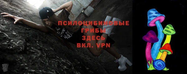 стафф Аркадак