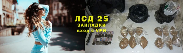 стафф Аркадак