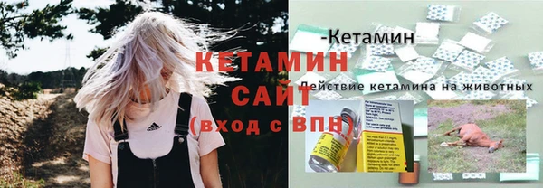 стафф Аркадак