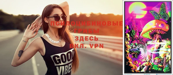 трава Арсеньев