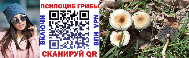 Галлюциногенные грибы ЛСД  Дорогобуж 