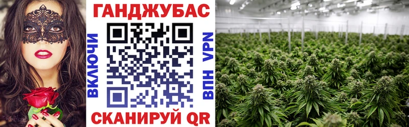 Канабис планчик  закладки  Дорогобуж 